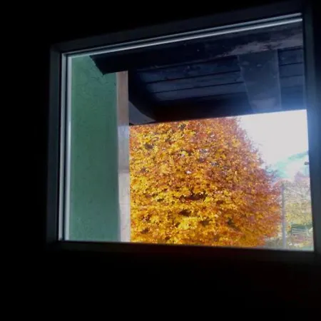 Tatil Evi Green House Holiday